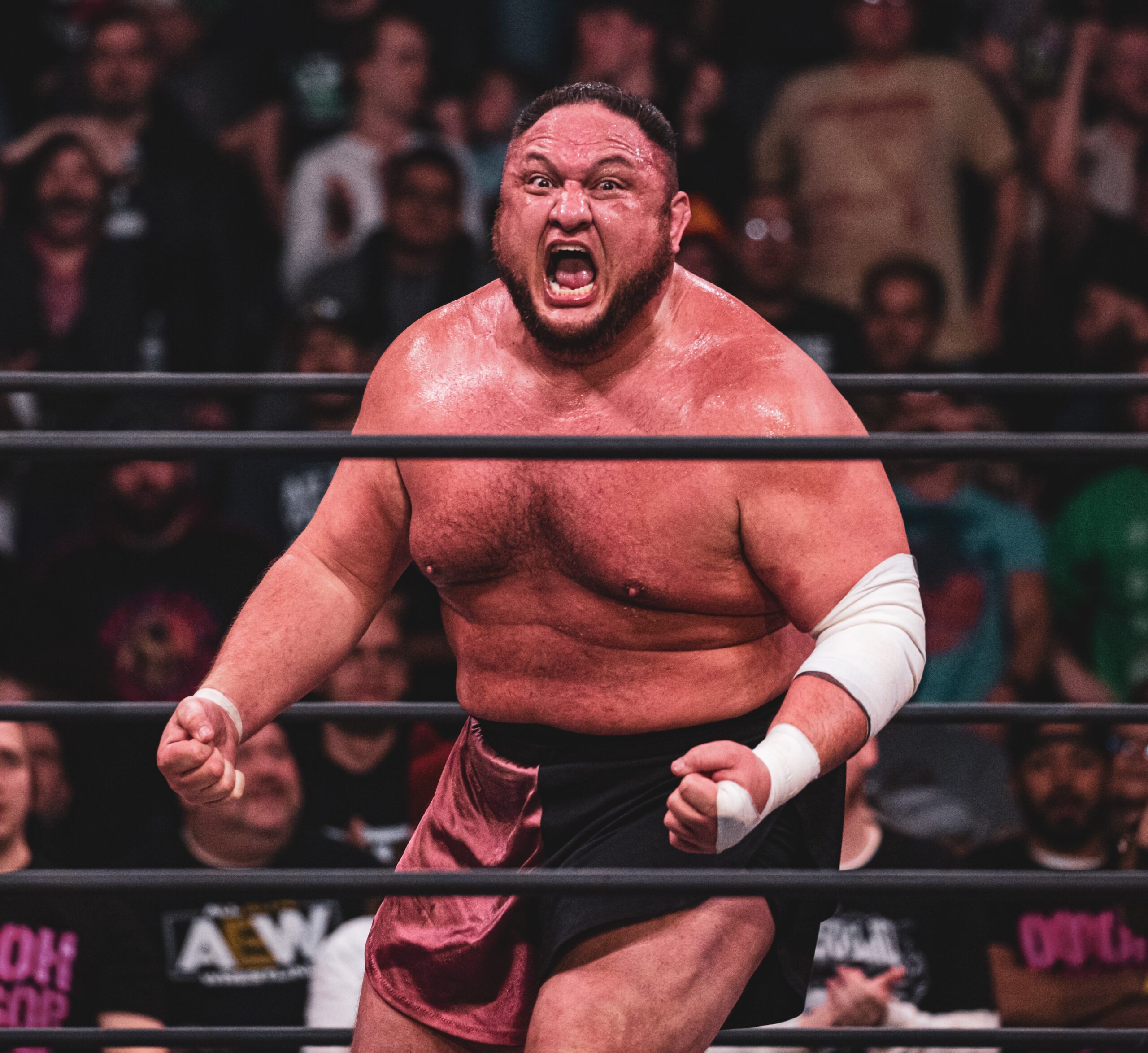 Finding The Way: From Young Lion to Grand Master - Monthly Puroresu